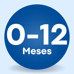 0 a 12 Meses