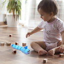 Lagartas Interativas (Kit)