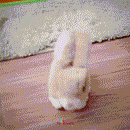 Pulito™ - O Coelhinho Interativo - Frete Grátis